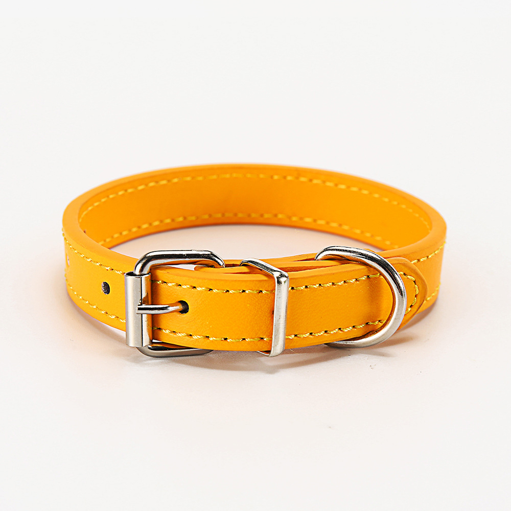 Paws & Whiskers Collar