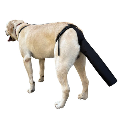 PEUTIER Dog Tail Protector Dog Tail Guard Dog Tail Cover for Wounds Black Dog Harness with Tail Guard Dog Tail Protector Sleeve (Size L)