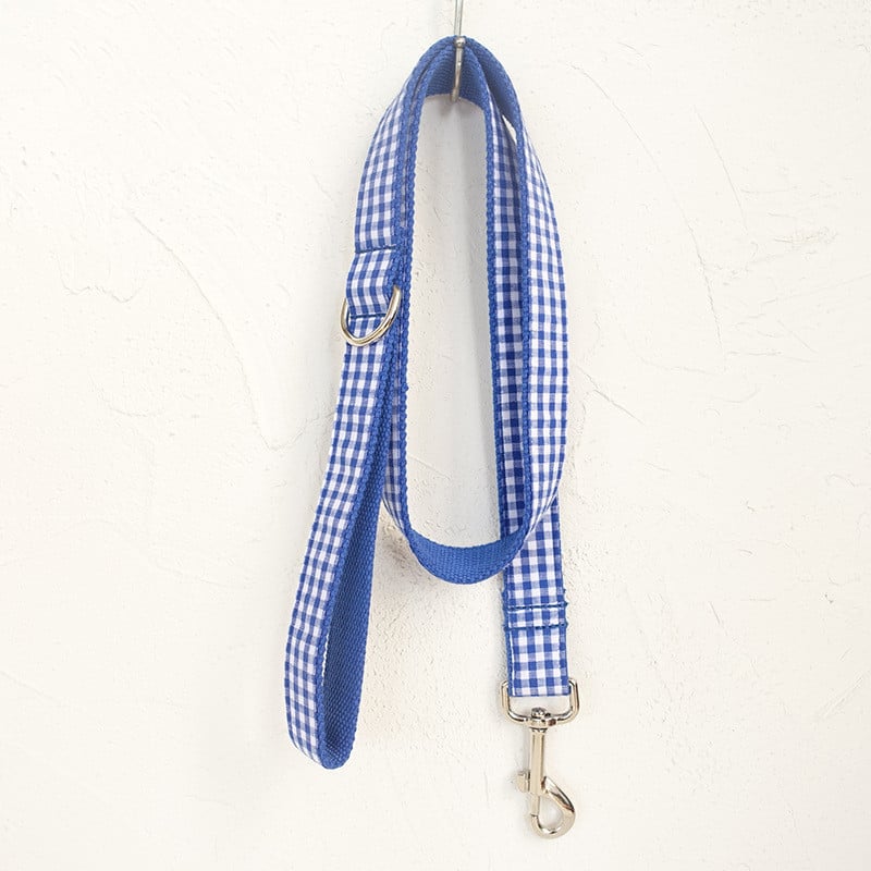 Blue Pet Dog Leashes for Your Furry Friends
