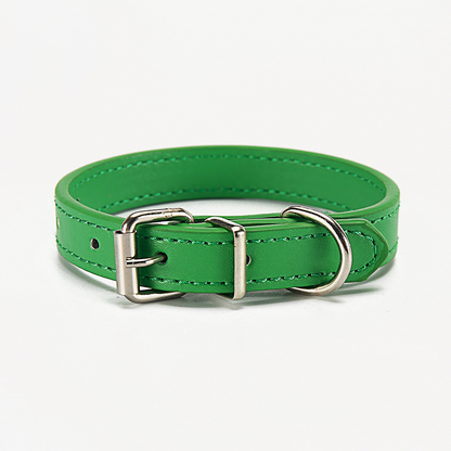 Paws & Whiskers Collar