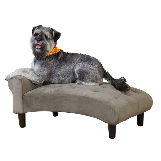 Paws & Purrs Modern 21" Wide Pet Chaise Lounge Bed for Small to Medium Dog or Cat