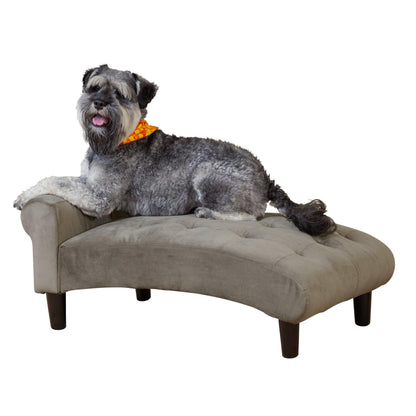 Paws & Purrs Modern 21" Wide Pet Chaise Lounge Bed for Small to Medium Dog or Cat