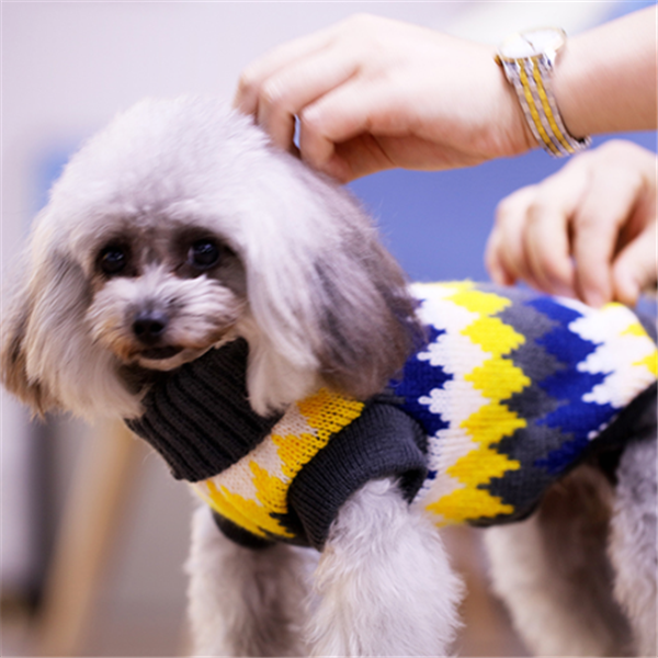 Warm Sweater for Dogs - Cozy Dog Apparel