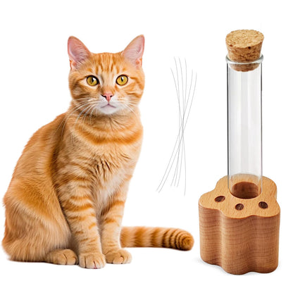 Allenkwok Cat Whisker Jar Mini Glass Vase for Cat Whiskers Cat Whisker Holder Cat Whisker Collector & Keeper Elegant Memorial Gift for Pet Lovers