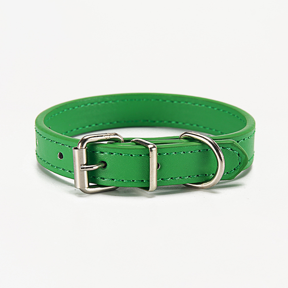 Paws & Whiskers Collar