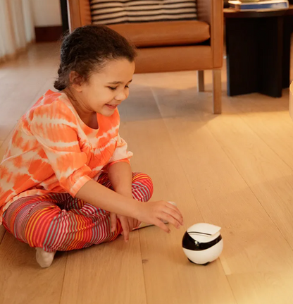 Smart Home Companion Robot with Remote Control (EBO SE/AIR)