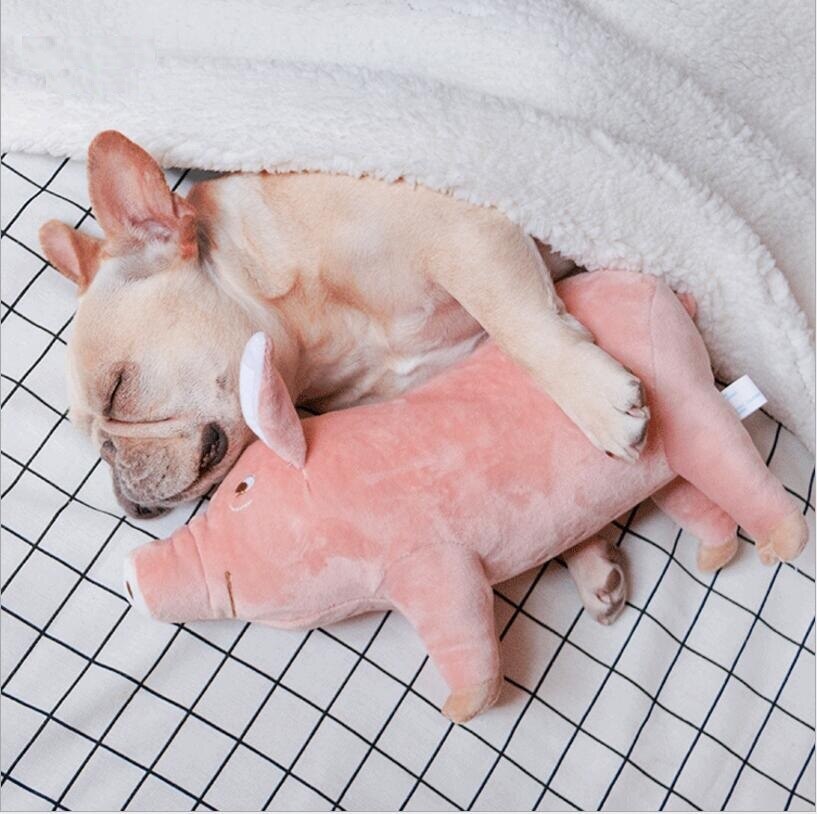 Plush Pet Sleeping Companion - Bulldog, Corgi, Poodle