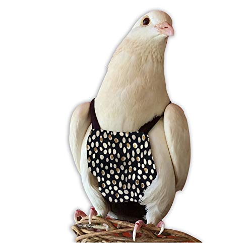 Bevs Birds Boutique - Regular Flyper Classy Bird Size 6