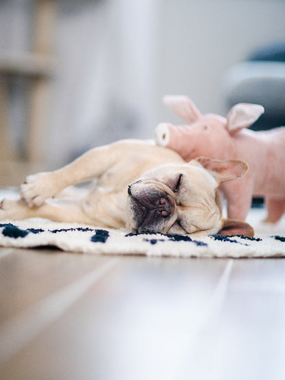 Plush Pet Sleeping Companion - Bulldog, Corgi, Poodle