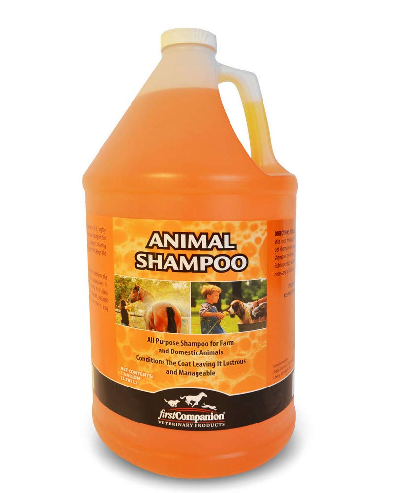 First Companion Ahi Animal Shampoo Gallon