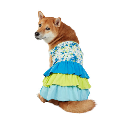 Best Furry Friends Dress for Dogs Color Splat Large